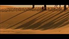 SASA KOVACEVIC - Prevarena (Official Video HD-4K) NOVO! 2019 - Videoclip.bg