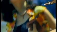 Димитрис Митропанос - винаги засмени - Videoclip.bg