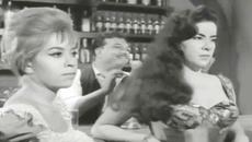 “Cuéntame cielo“ – Juan Mendoza “El Tariácuri“ - Videoclip.bg