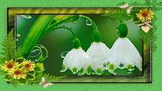 ❤❋ Капки дъжд ,падащи в душата ми ❋❤ - Videoclip.bg