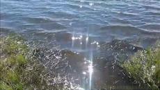 Eсенен полъх - Videoclip.bg