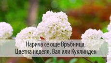 Цветница е - Честит празник! Традиции и обичаи от България 21 април 2019 г. - Videoclip.bg