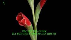 Днес е Цветница - Честит празник на всички с имена на цветя! - Videoclip.bg