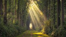 22 април е Световен ден на Земята и се празнува повече от 40 години. - Videoclip.bg