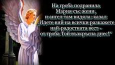 Жив е! Жив е! - Videoclip.bg