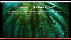 Какво е Ламинария ? - Videoclip.bg