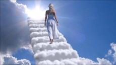 Mike Dupree ft Maddi Jane ☀️ Falling up - Videoclip.bg