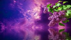 •⊰✿ Люляков ден ... (с музиката на Вадим Гурьев)  ✿⊱• - Videoclip.bg