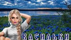 Песни старых дворов....."ВАСИЛЬКИ" - Videoclip.bg