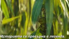 Господарка на злото 2/2019 Трейлър - Videoclip.bg