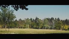 SLOBA RADANOVIC - JA SE NE BRINEM (OFFICIAL VIDEO) - Videoclip.bg