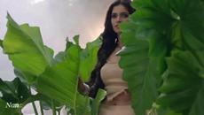 ❤ Nancy Ajram - Okey ❤ + Превод - Videoclip.bg