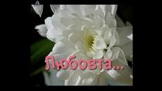 Божествената Любов - Безусловната  Любов тази на Майката към Рожбата - Videoclip.bg