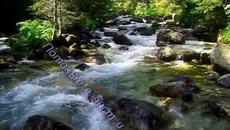 Чудната река - с текст - Videoclip.bg