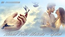 NIHAD FETIC HAKALA - GALEB - Jedna od najtužnijih pjesama koju sam čuo u životu!!! - Videoclip.bg