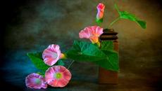 ✿*ﾟ‘ﾟ Прекрасен ден с красота  ･✿.｡.: - Videoclip.bg