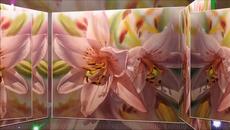 Наталия Пантелеева Татяна Таратайко ☀️ саксофон и цигулка - Videoclip.bg