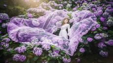 •⊰✿⊱•  ХОРТЕНЗИЯ  •⊰✿⊱• - Videoclip.bg