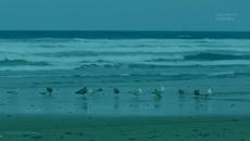 Chris Rea - And You My Love - Videoclip.bg