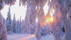 Иво Минчев - Ти - Videoclip.bg