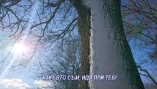 О, неизмерима милост - Videoclip.bg
