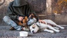 ЛЮБОВТА Е ВСИЧКО! ХОРА ПОМАГАТ НА ХОРА - ВИДЕО КОЕТО ЩЕ ВИ ТРОГНЕ И РАЗПЛАЧЕ - Videoclip.bg