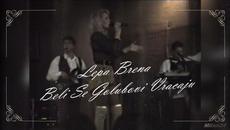 LEPA BRENA - BELI SE GOLUBOVI VRACAJU - Videoclip.bg