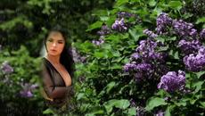 Стеллы Джанни  -  Майский ливень. - Videoclip.bg