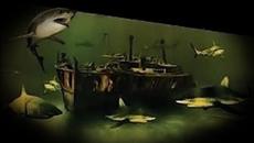 Съкровището на акулите - БГ аудио (BG audio) - Videoclip.bg