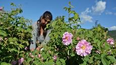 Рекламен клип: „Инвестирай в България, задвижете се“! Инвестирай в България! Рекламно видео 2020 - Videoclip.bg
