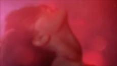 Blues Cousins Open the door - Videoclip.bg