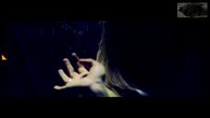 Sokol Koci - Shkaktare (Official Video HD) - Videoclip.bg