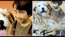 КУЧЕ В ЧЕКМЕДЖЕ 1982 (Целия филм)  БЪЛГАРИЯ | A DOG IN A DRAWER 1982 BULGARIA - Videoclip.bg