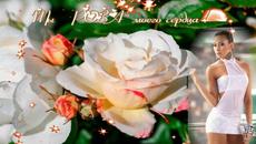 Юрий Кость  -   Мой цветок, Ты роза моего сердца! - Videoclip.bg