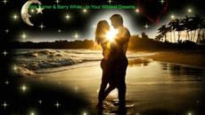 Tina Turner & Barry White - In Your Wildest Dreams - Videoclip.bg