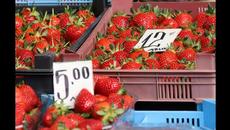 Пазарите в София възобновиха дейност 20.4.2020 - Videoclip.bg