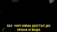3 ГОДИНИ КАРАНТИНА ПОСЛЕ ЧИПИРАНЕ ИЛИ ЗАТВОР ! - Videoclip.bg