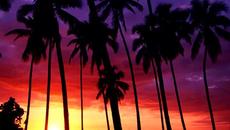 Превод !!Страхотен ремикс - Summer Love - Remember (remix) - Videoclip.bg