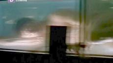 The X Files S01 / Досиетата Х ep24 The Erlenmeyer Flask part.2 - Videoclip.bg