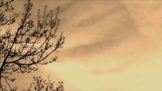 Leonard Cohen - Love Itself - С вградени BG субтитри - Videoclip.bg