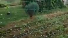 Вижте Градушката в Бургас 7.7.2020 - В момента вали - Videoclip.bg