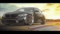 NEW Dimsan Kuchek Burgia 2020 - Videoclip.bg