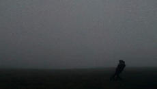 Jessie Baylin – „The Winds“ (творчески превод и интерпретация) - Videoclip.bg