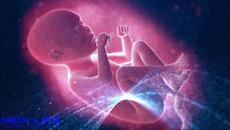 New Life (official 4K visualisation) - Videoclip.bg