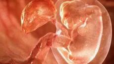 Камен Тодоров – „Преди да се родя“ (поезия) - Videoclip.bg