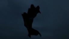 Madonna – „Frozen“ (творчески превод и интерпретация) - Videoclip.bg