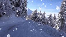 БЯЛА ПРИКАЗКА - Videoclip.bg