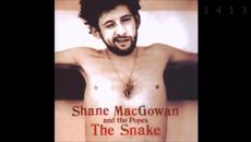 Shane Macgowan & The Popes - The Snake - full album - Videoclip.bg