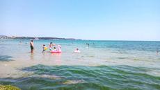 На Плажа в Равда 2020 г. - Videoclip.bg