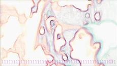 Ray Lamontagne - You Should Belong to me - Videoclip.bg